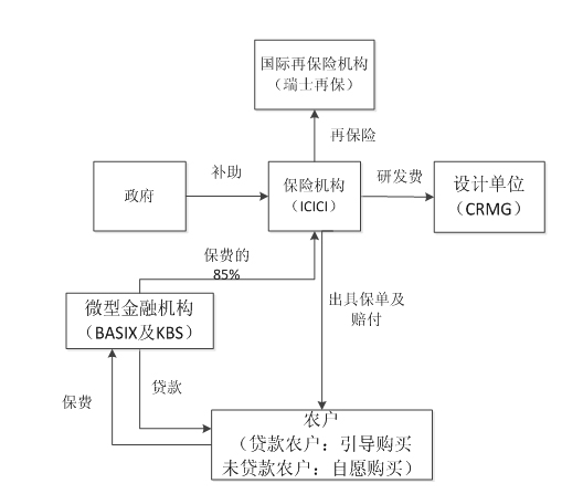 yao05.jpg