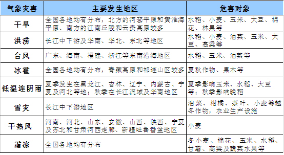yao01.jpg